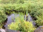 Multiple Culvert Crossing, Whiting, Maine