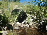 Culvert Crossing, Wilson Stream, Dennysville, Maine