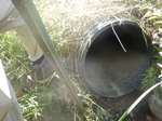 Culvert Crossing, Wilson Stream, Dennysville, Maine