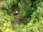 Culvert Crossing, Lubec, Maine
