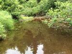 Culvert Crossing, Meadow Brook, Dennysville, Maine