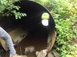 Culvert Crossing, Meadow Brook, Dennysville, Maine