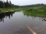 Culvert Crossing, Meadow Brook, Dennysville, Maine
