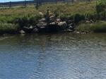 Culvert Crossing, Dennysville, Maine