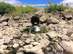 Culvert Crossing, Dennysville, Maine