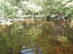 Culvert Crossing, Whiting, Maine