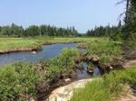 Culvert Crossing, Whiting, Maine