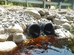 Culvert Crossing, Whiting, Maine
