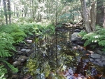 Culvert Crossing, Whiting, Maine