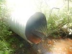 Culvert Crossing, Whiting, Maine
