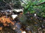 Culvert Crossing, Trib To Howard Cove, Machiasport, Maine