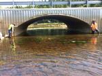 Bridge Crossing, Trib To Money Cove, Cutler, Maine