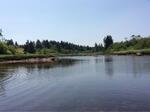Bridge Crossing, Trib To Money Cove, Cutler, Maine