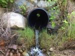Culvert Crossing, Machiasport, Maine