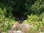 Culvert Crossing, Machiasport, Maine