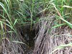 Culvert Crossing, Machiasport, Maine