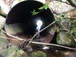 Culvert Crossing, East Machias, Maine