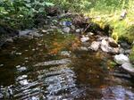 Culvert Crossing, Trib To Bucks Harbor, Machiasport, Maine