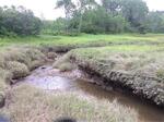 Multiple Culvert Crossing, Jonesboro, Maine
