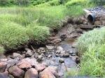 Culvert Crossing, Jonesboro, Maine