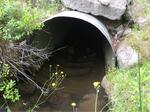 Culvert Crossing, Jonesboro, Maine