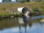 Culvert Crossing, Snare Creek, Jonesport, Maine