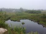 Culvert Crossing, Trib To Sawyer Cove, Jonesport, Maine