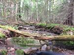 Multiple Culvert Crossing, Jonesboro, Maine