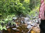 Multiple Culvert Crossing, Jonesboro, Maine