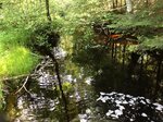Culvert Crossing, Deblois, Maine