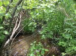 Culvert Crossing, Cherryfield, Maine