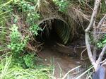 Culvert Crossing, Cherryfield, Maine
