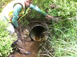 Culvert Crossing, Cherryfield, Maine