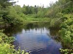 Culvert Crossing, Cherryfield, Maine