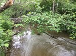Culvert Crossing, Cherryfield, Maine