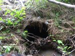 Culvert Crossing, Cherryfield, Maine