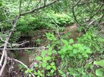 Culvert Crossing, Cherryfield, Maine