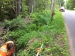 Culvert Crossing at Coggins Rd, Bristol, Maine