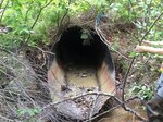 Culvert Crossing, Cherryfield, Maine