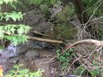 Multiple Culvert Crossing, Cherryfield, Maine