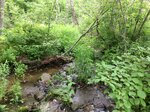 Culvert Crossing, Cherryfield, Maine