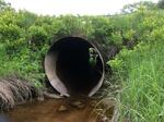 Culvert Crossing, Cherryfield, Maine