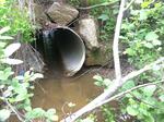 Culvert Crossing, Cherryfield, Maine