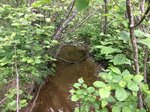 Culvert Crossing, Cherryfield, Maine