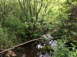 Culvert Crossing, Cherryfield, Maine
