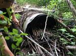 Culvert Crossing, Cherryfield, Maine