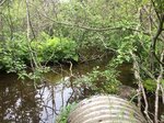 Culvert Crossing, Cherryfield, Maine
