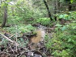 Culvert Crossing, Cherryfield, Maine