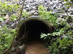Culvert Crossing, Cherryfield, Maine