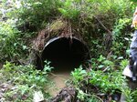 Culvert Crossing, Cherryfield, Maine